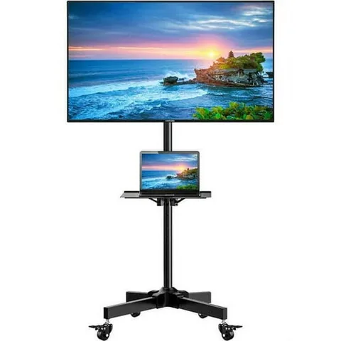 43" LCD TV with Stand